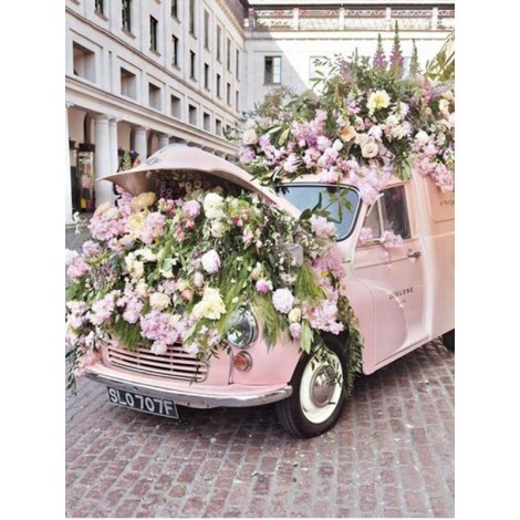 Car and Flowers