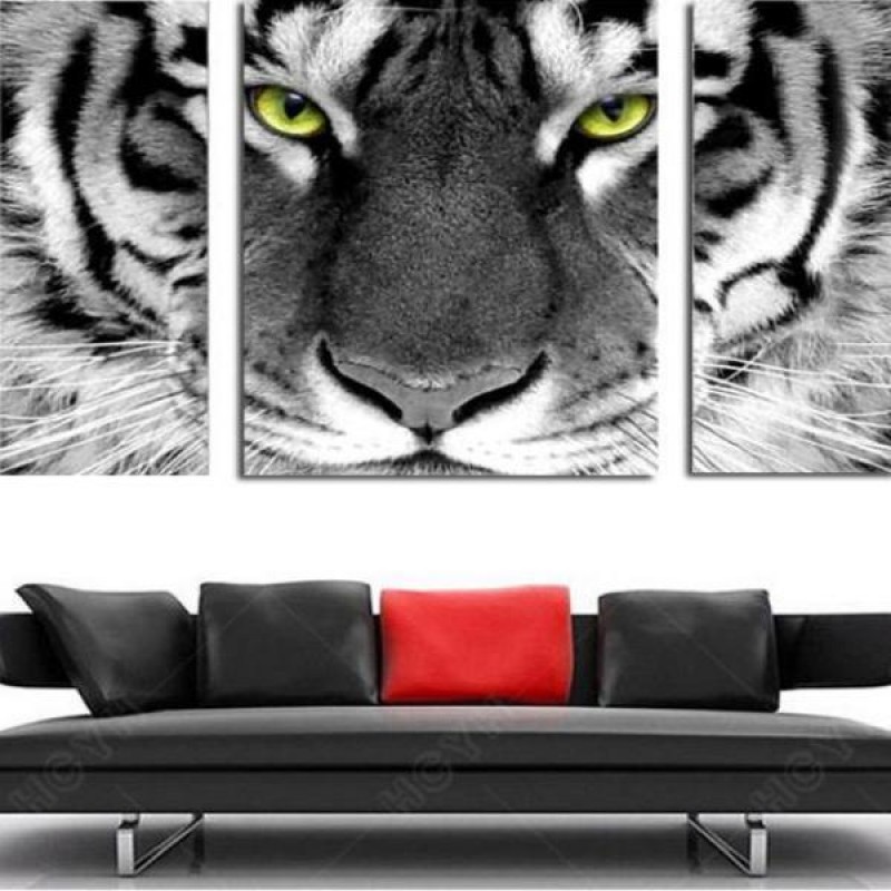 Tiger Eyes Triptych
