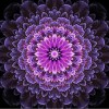 Purple Mandala