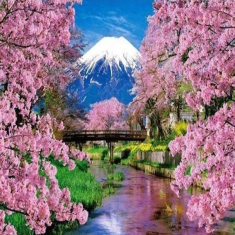 Fuji Spring