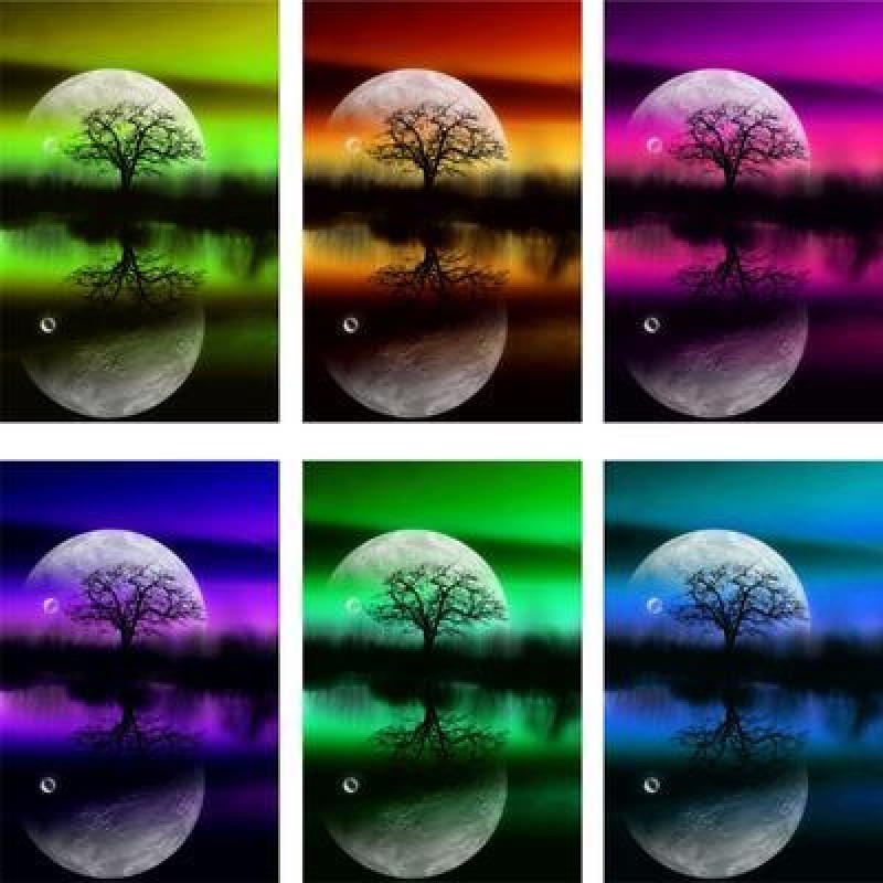 Moonlight Tree Color...
