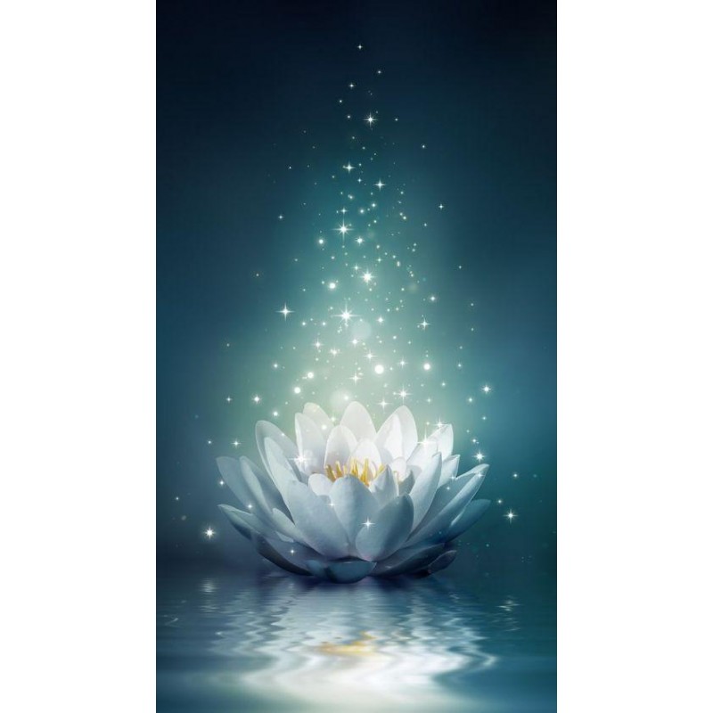 Sparkling Lotus