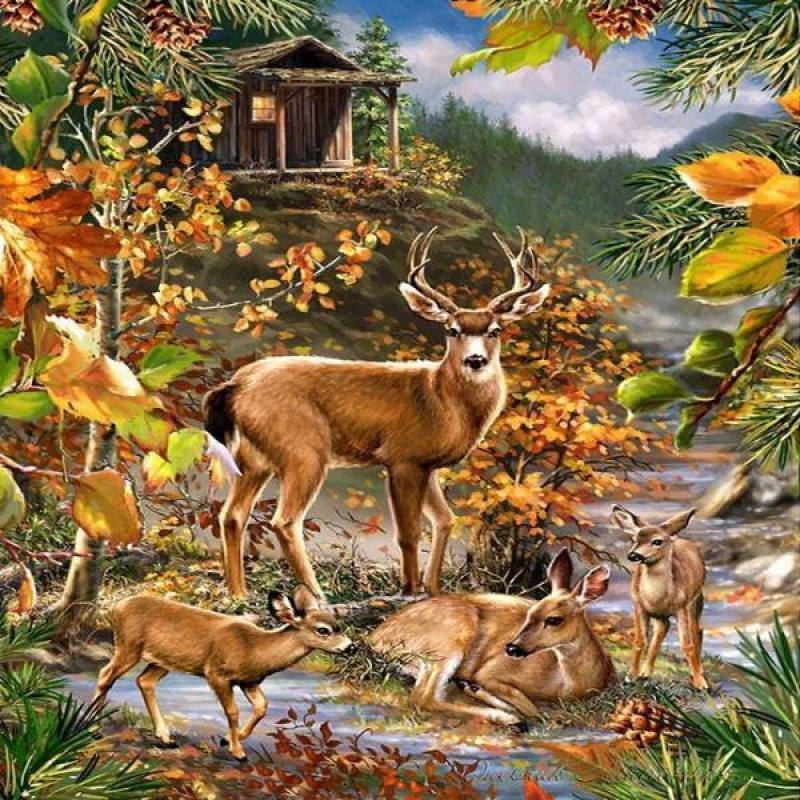 Fall Forest Deers