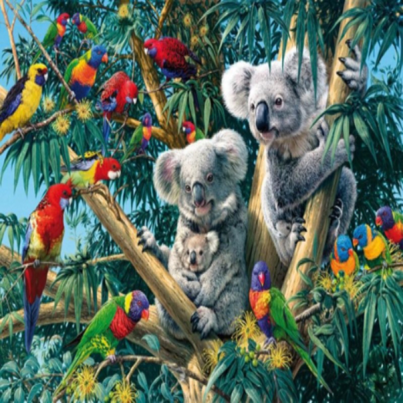 Parrot Tree Koalas