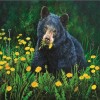 Dandelion Meadow Bear