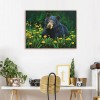 Dandelion Meadow Bear