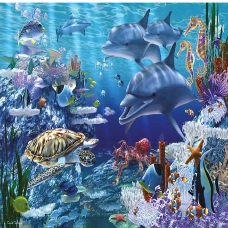 Underwater Paradise