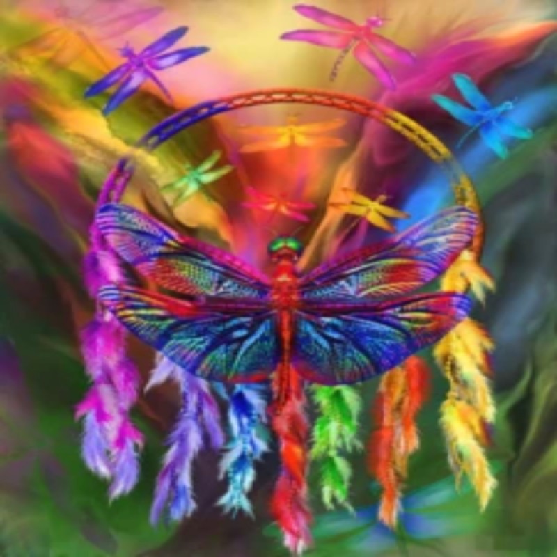 Rainbow Dragonfly Dr...