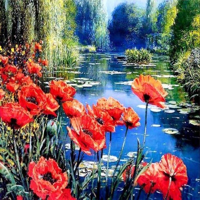 Pond Poppies