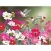 Flowerbed Hummingbirds