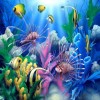 Diverse Sea Life