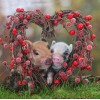 Heart Wreath Piglets