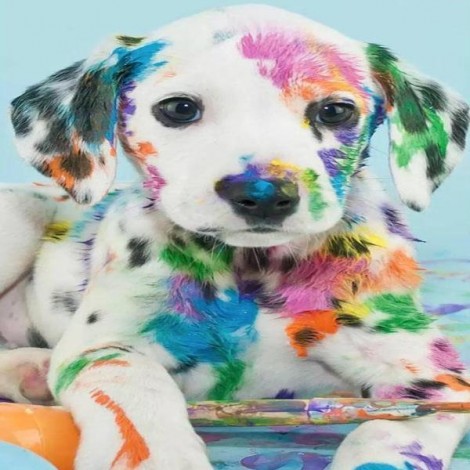 Color Spot Puppy