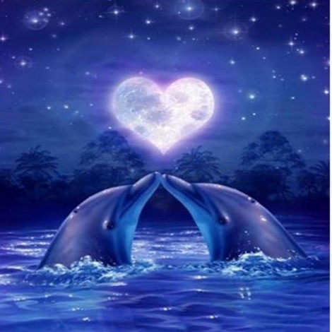 Love Dolphins