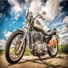 Legendary Harley Davidson