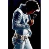 Elvis On The Stage