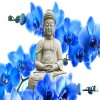 Buddha With Blue Orchids