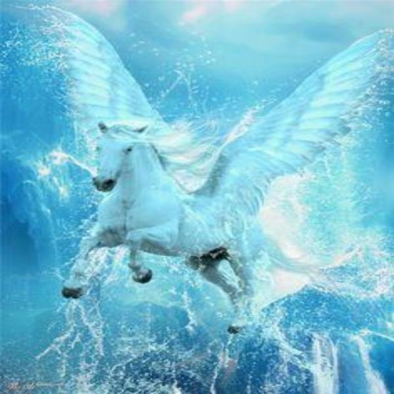 Water Pegasus