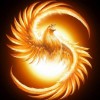 Phoenix Of The Sun