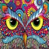 Colorful Owl Gaze