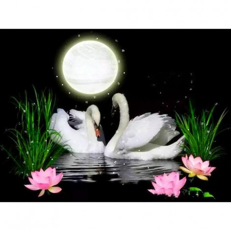 Night Swans