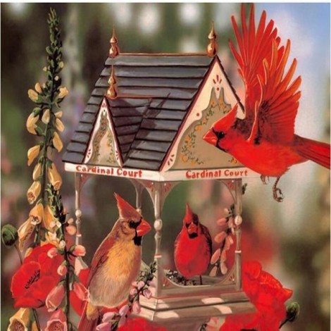 Cardinal's Bird House