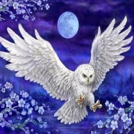 Owl's Night Flight
