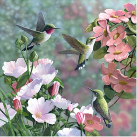 Pink Flower Hummingbirds
