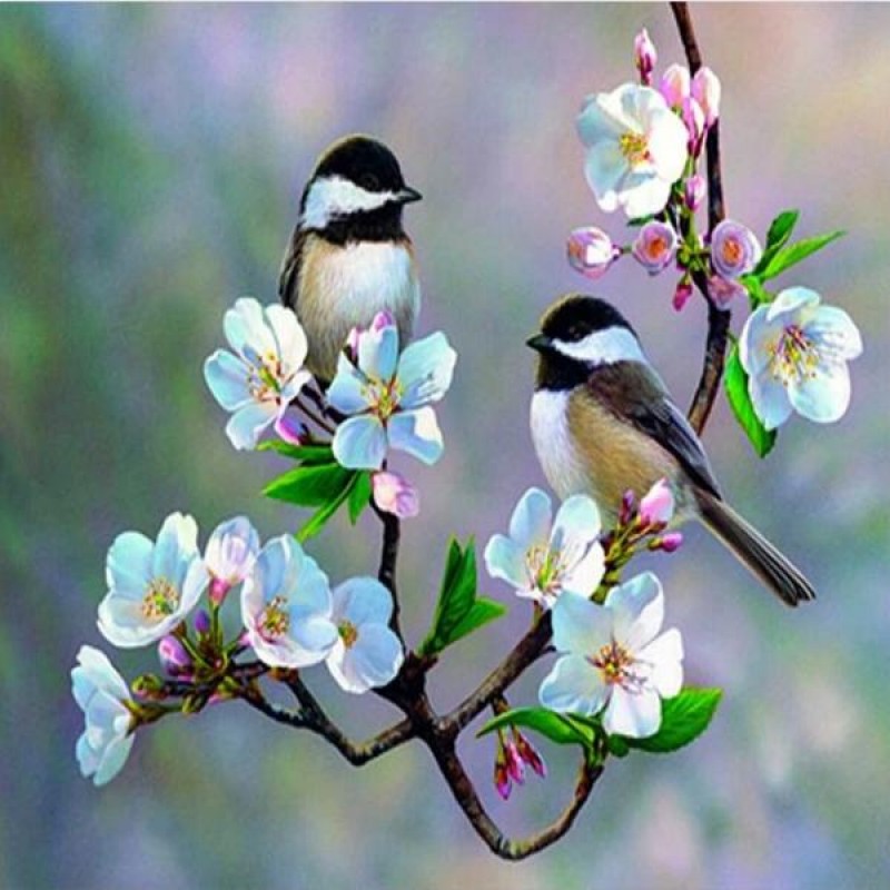 Flowery Tree Sparrow...