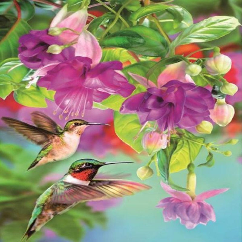 Hummingbird Flight