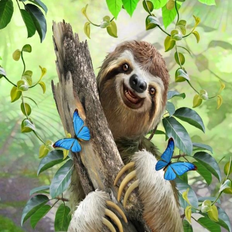 Cheerful Sloth
