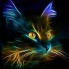 Fluorescent Cat
