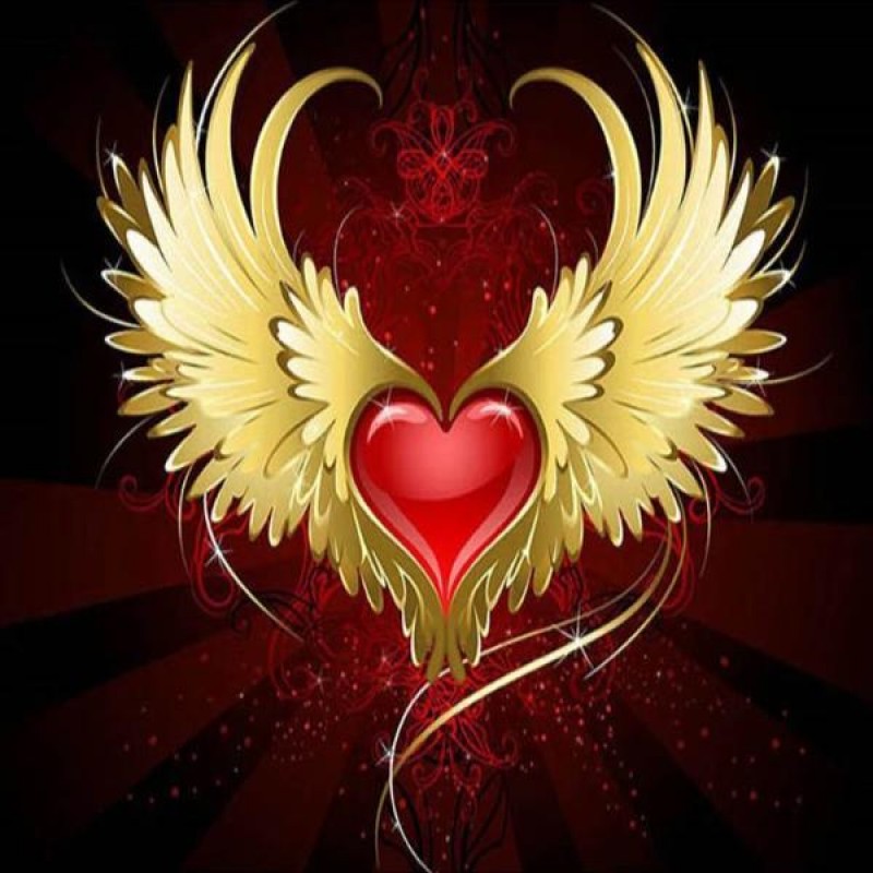 Golden Wing Heart