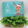 5D 8 pcs Diamond Painting Christmas Greeting Cards Value Pack