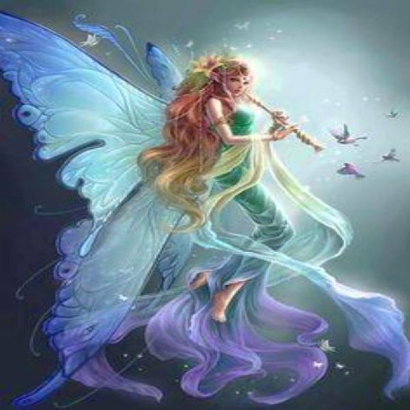 Musical Fairy