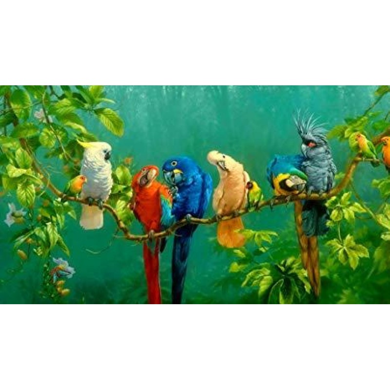 Parrots On The Branc...