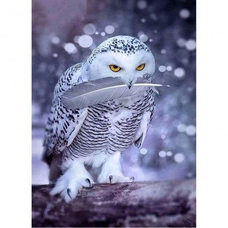 White Owl's Feather