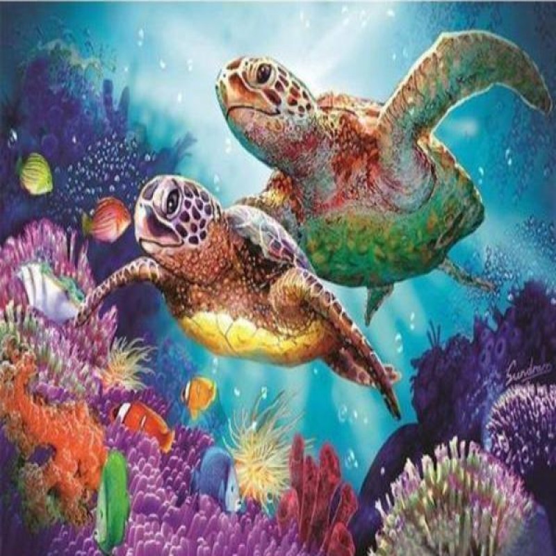 Colorful Sea Turtles