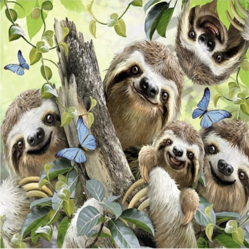 Happy Sloth Family