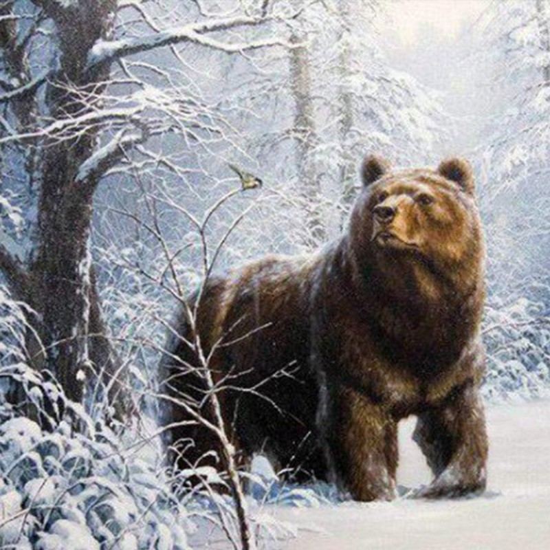 Snow Forest Bear