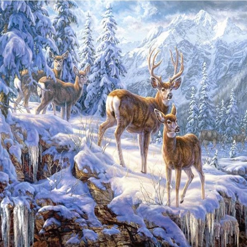 Winter Mountain Deer...