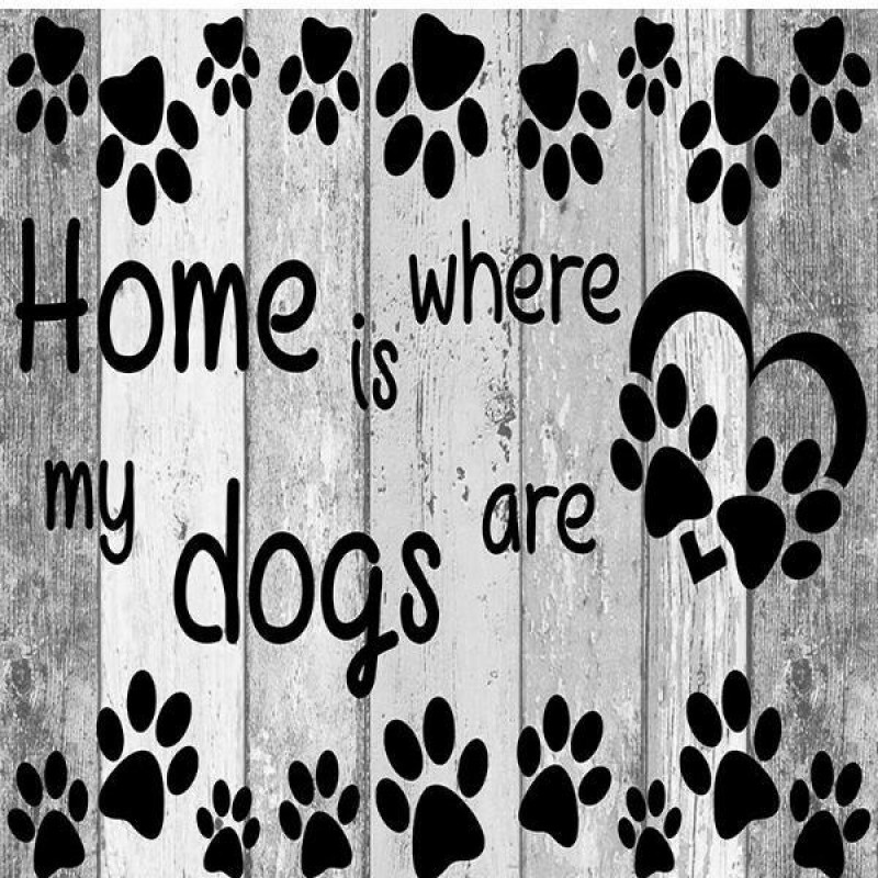 Home Is Where My Dog...