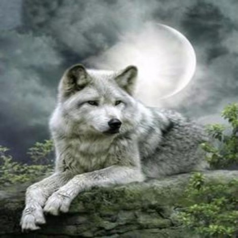 Lonely Wolf