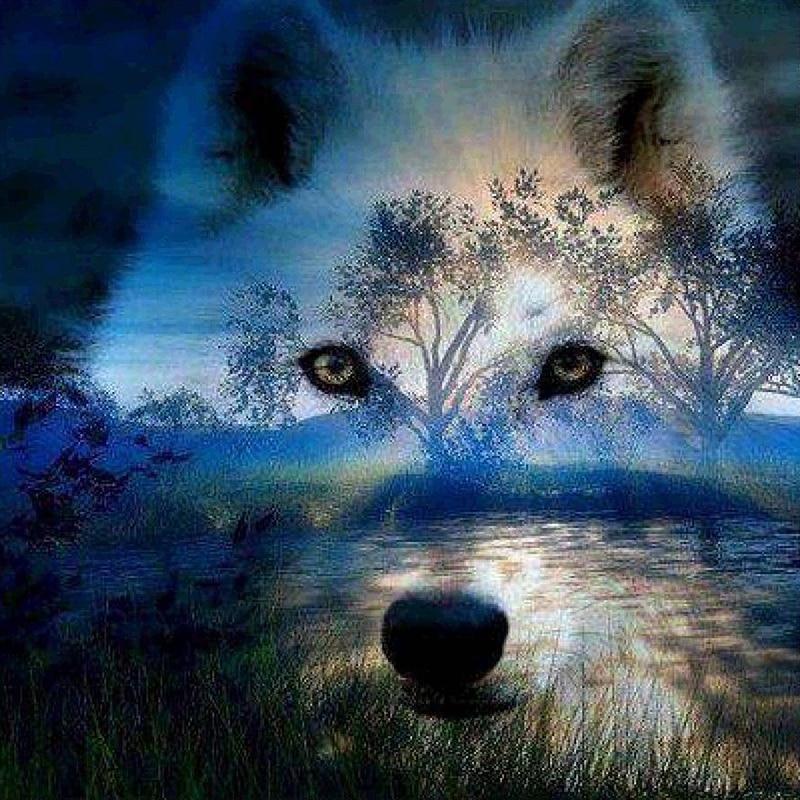 Wolf's Nature