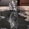 Tiger Power