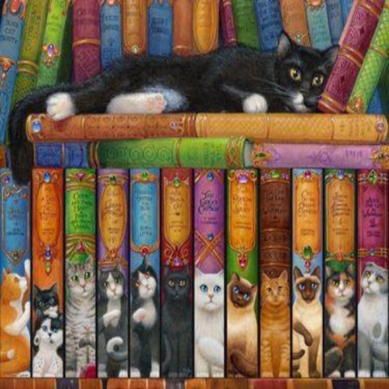 Cat Bookshelf