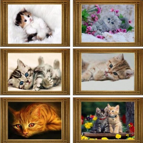 Cute Kittens Collection